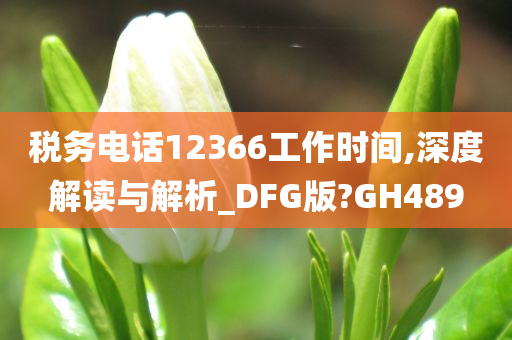 税务电话12366工作时间,深度解读与解析_DFG版?GH489