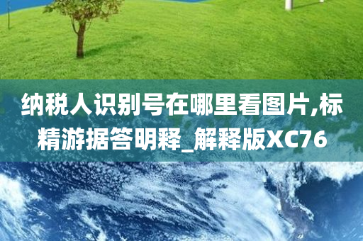 纳税人识别号在哪里看图片,标精游据答明释_解释版XC76