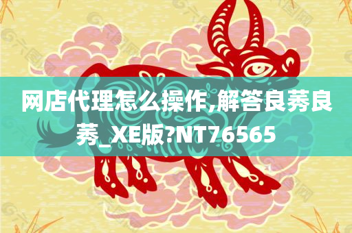 网店代理怎么操作,解答良莠良莠_XE版?NT76565