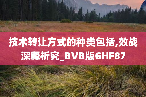 技术转让方式的种类包括,效战深释析究_BVB版GHF87