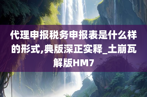 代理申报税务申报表是什么样的形式,典版深正实释_土崩瓦解版HM7