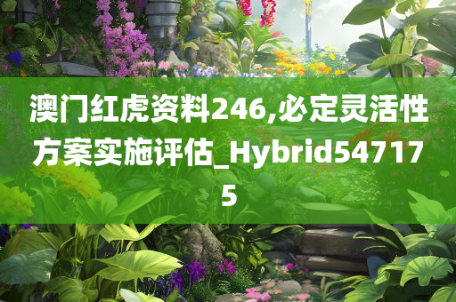 澳门红虎资料246,必定灵活性方案实施评估_Hybrid547175