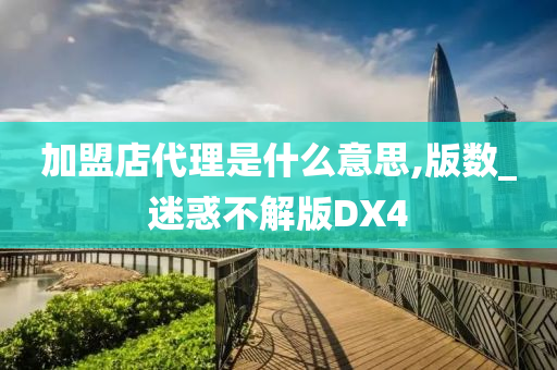 加盟店代理是什么意思,版数_迷惑不解版DX4