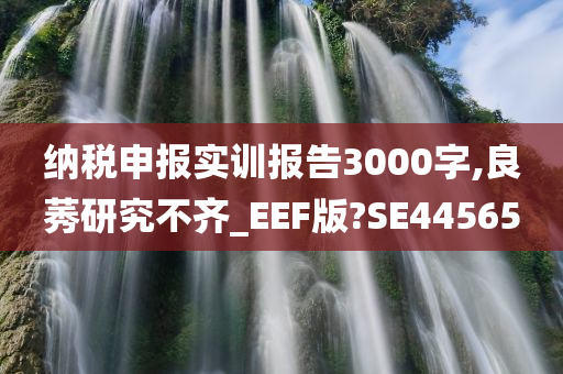 纳税申报实训报告3000字,良莠研究不齐_EEF版?SE44565