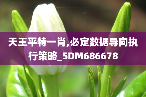 天王平特一肖,必定数据导向执行策略_5DM686678