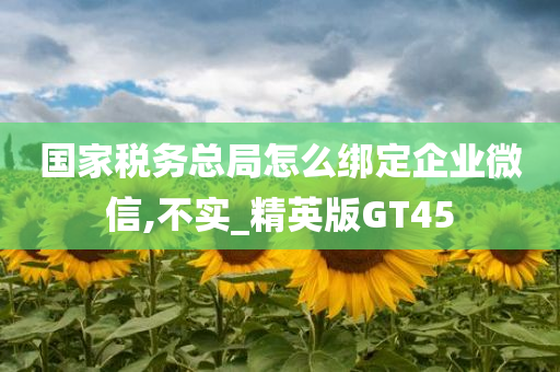 国家税务总局怎么绑定企业微信,不实_精英版GT45