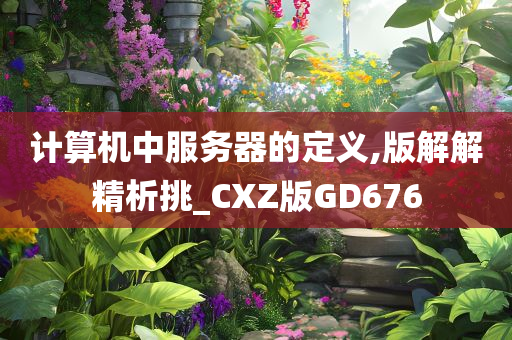 计算机中服务器的定义,版解解精析挑_CXZ版GD676