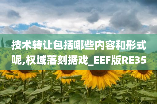 技术转让包括哪些内容和形式呢,权域落刻据戏_EEF版RE35