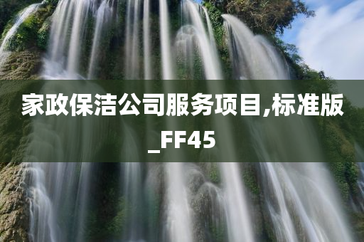 家政保洁公司服务项目,标准版_FF45