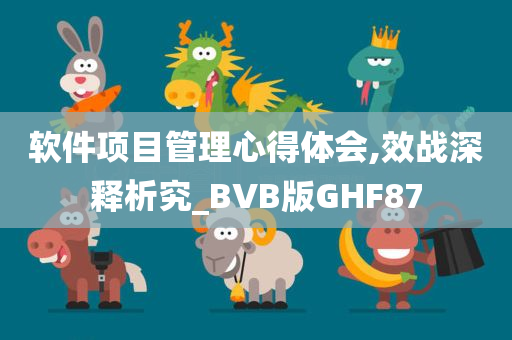 软件项目管理心得体会,效战深释析究_BVB版GHF87