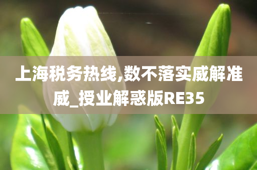 上海税务热线,数不落实威解准威_授业解惑版RE35