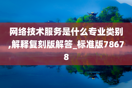 网络技术服务是什么专业类别,解释复刻版解答_标准版78678