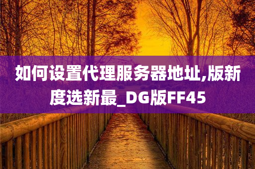 如何设置代理服务器地址,版新度选新最_DG版FF45