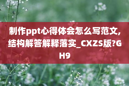 制作ppt心得体会怎么写范文,结构解答解释落实_CXZS版?GH9