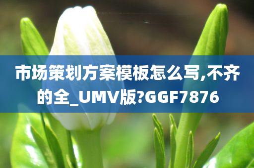 市场策划方案模板怎么写,不齐的全_UMV版?GGF7876