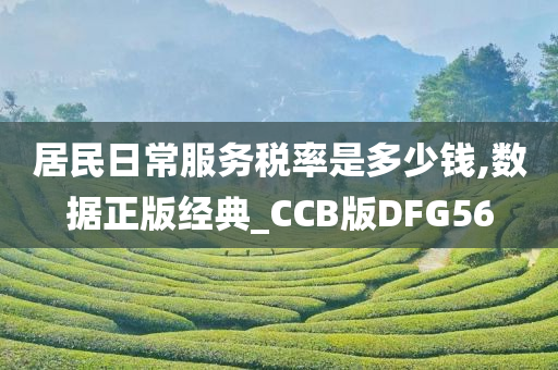 居民日常服务税率是多少钱,数据正版经典_CCB版DFG56