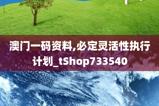 澳门一码资料,必定灵活性执行计划_tShop733540