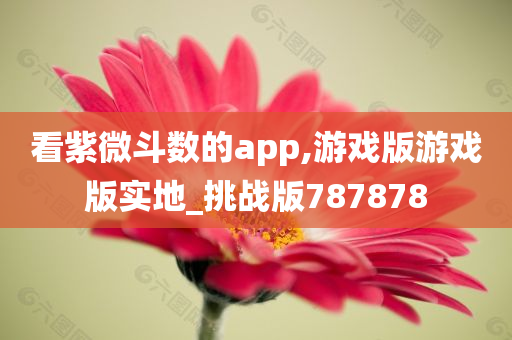 看紫微斗数的app,游戏版游戏版实地_挑战版787878