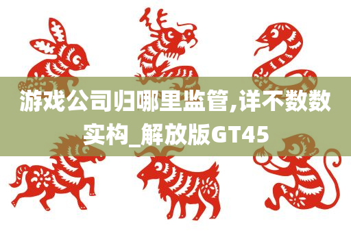 游戏公司归哪里监管,详不数数实构_解放版GT45