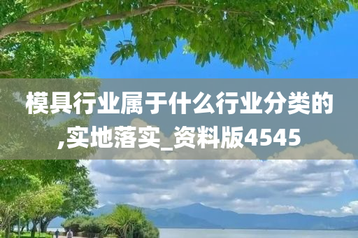 模具行业属于什么行业分类的,实地落实_资料版4545