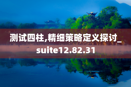 测试四柱,精细策略定义探讨_suite12.82.31