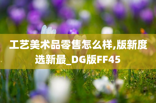 工艺美术品零售怎么样,版新度选新最_DG版FF45