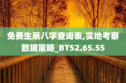 免费生辰八字查询表,实地考察数据策略_BT52.65.55