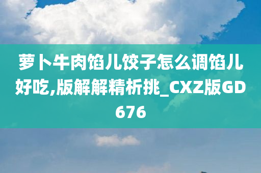 萝卜牛肉馅儿饺子怎么调馅儿好吃,版解解精析挑_CXZ版GD676