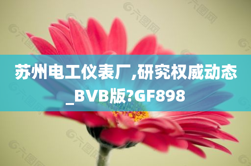 苏州电工仪表厂,研究权威动态_BVB版?GF898