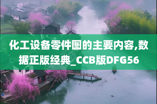 化工设备零件图的主要内容,数据正版经典_CCB版DFG56