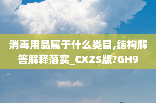 消毒用品属于什么类目,结构解答解释落实_CXZS版?GH9