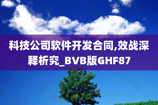 科技公司软件开发合同,效战深释析究_BVB版GHF87