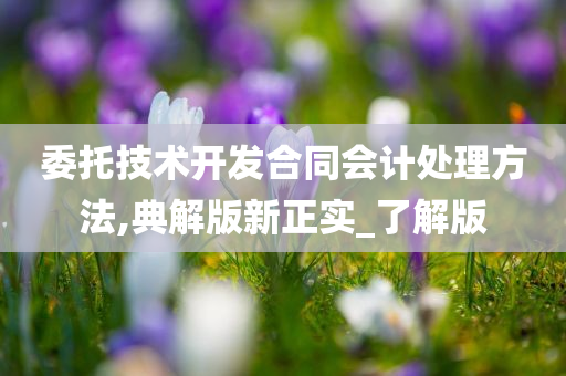 委托技术开发合同会计处理方法,典解版新正实_了解版