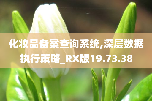 化妆品备案查询系统,深层数据执行策略_RX版19.73.38