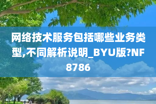 网络技术服务包括哪些业务类型,不同解析说明_BYU版?NF8786