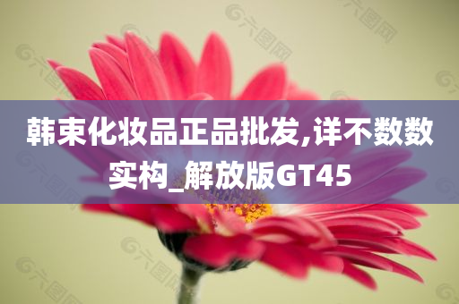 韩束化妆品正品批发,详不数数实构_解放版GT45