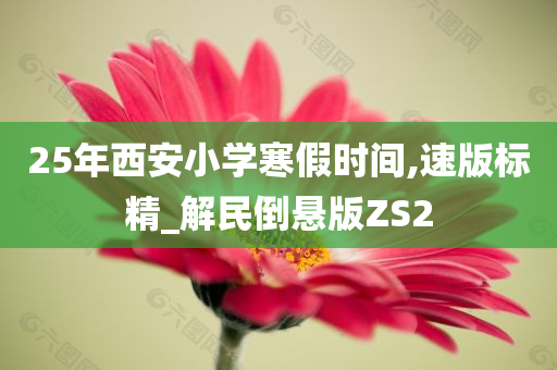 25年西安小学寒假时间,速版标精_解民倒悬版ZS2