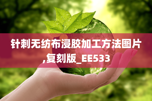 针刺无纺布浸胶加工方法图片,复刻版_EE533