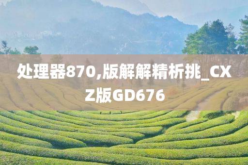 处理器870,版解解精析挑_CXZ版GD676