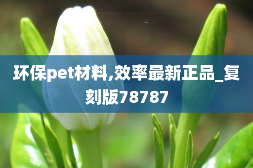 环保pet材料,效率最新正品_复刻版78787