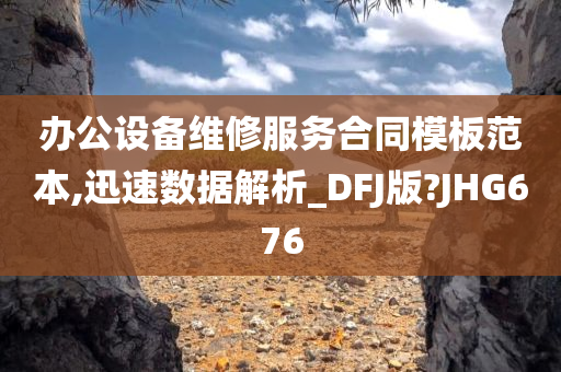 办公设备维修服务合同模板范本,迅速数据解析_DFJ版?JHG676