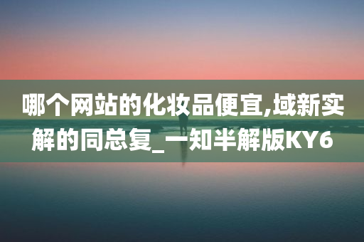 哪个网站的化妆品便宜,域新实解的同总复_一知半解版KY6