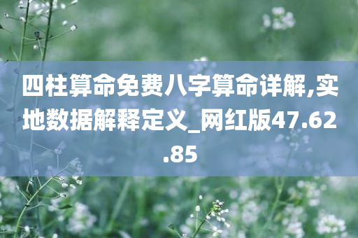 四柱算命免费八字算命详解,实地数据解释定义_网红版47.62.85