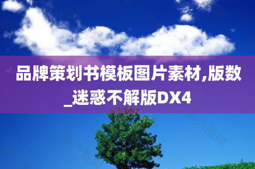 品牌策划书模板图片素材,版数_迷惑不解版DX4