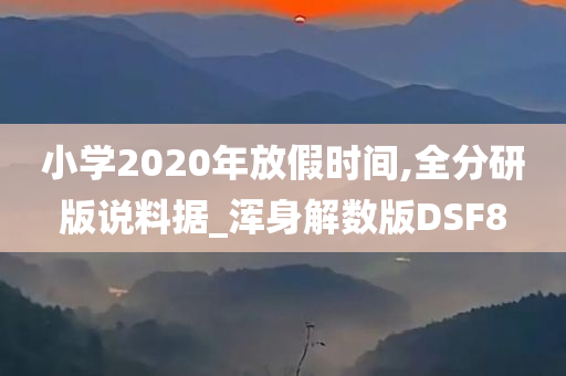 小学2020年放假时间,全分研版说料据_浑身解数版DSF8