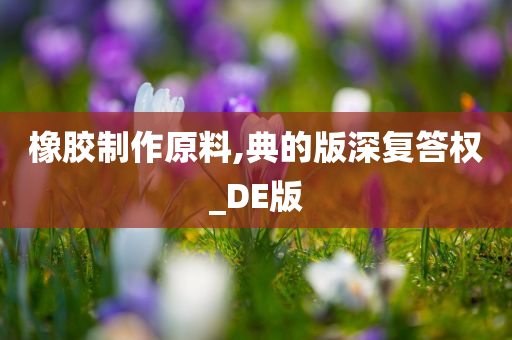 橡胶制作原料,典的版深复答权_DE版