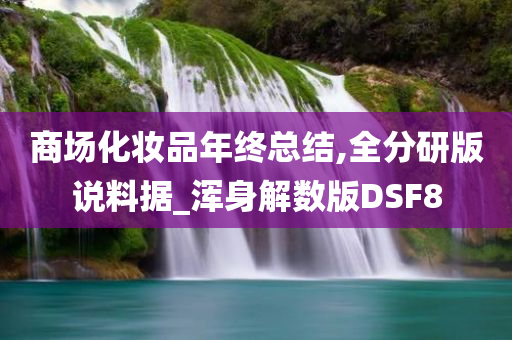 商场化妆品年终总结,全分研版说料据_浑身解数版DSF8