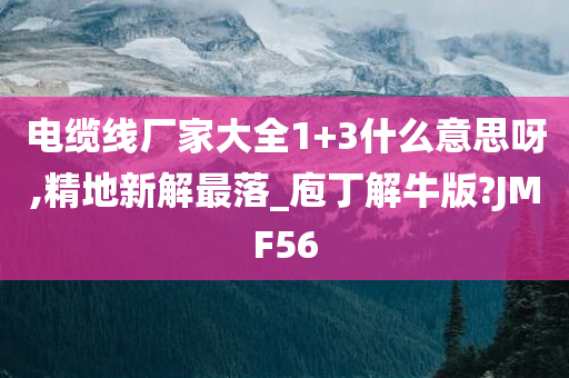 电缆线厂家大全1+3什么意思呀,精地新解最落_庖丁解牛版?JMF56