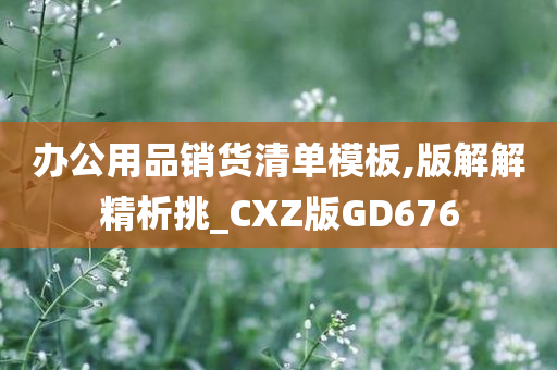 办公用品销货清单模板,版解解精析挑_CXZ版GD676