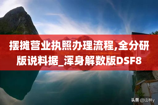 摆摊营业执照办理流程,全分研版说料据_浑身解数版DSF8